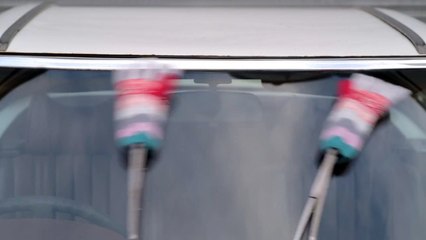 Gap Art Films - Windshield gloves