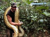 Alive filmmaker to be eaten by conscious Anaconda