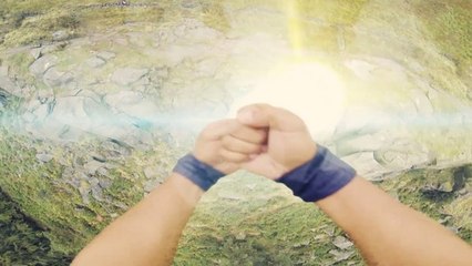 Goku with a GoPro Bonus