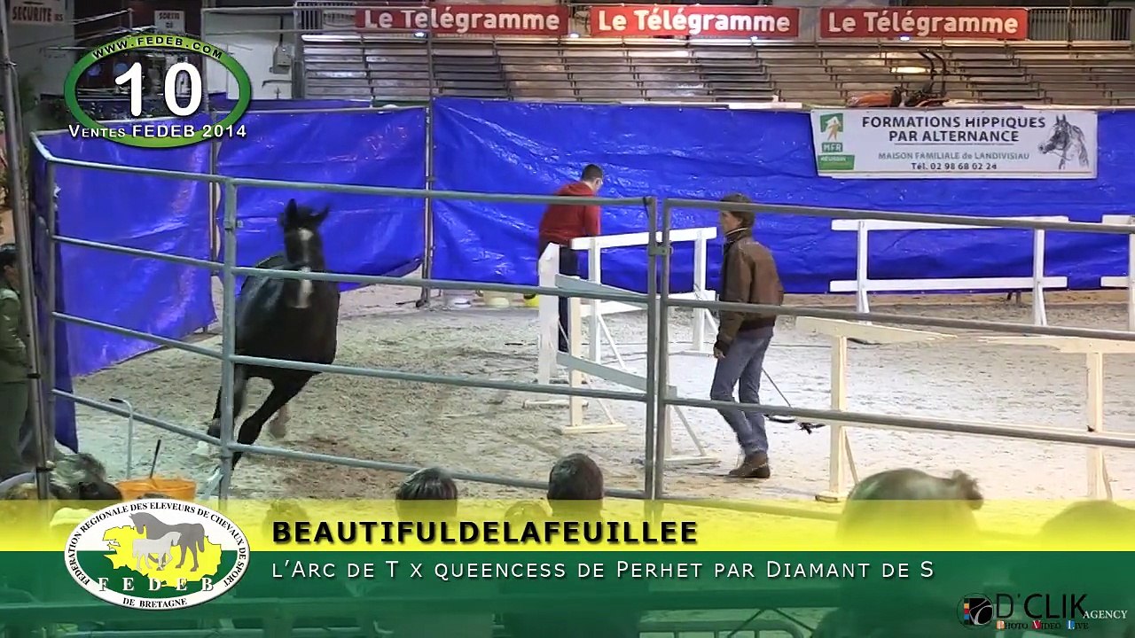 BEAUTIFULDELAFEUILLEE