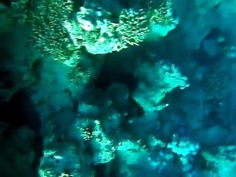 Lesch Güvenlik Sistemleri I VEEcam® Low Light Comparison I Kamera görüntü ve kalite farkları.