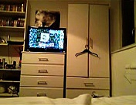 Download allok avi mpeg wmv rm to mp3 converter v.1.8.4 crack updated