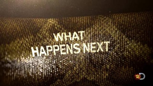 Eaten Alive, l'émission où un homme sert de repas à un anaconda