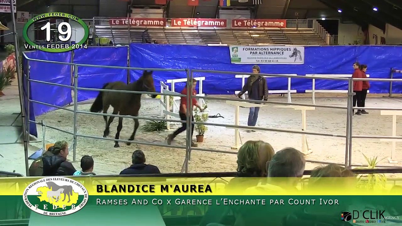 BLANDICE M AUREA