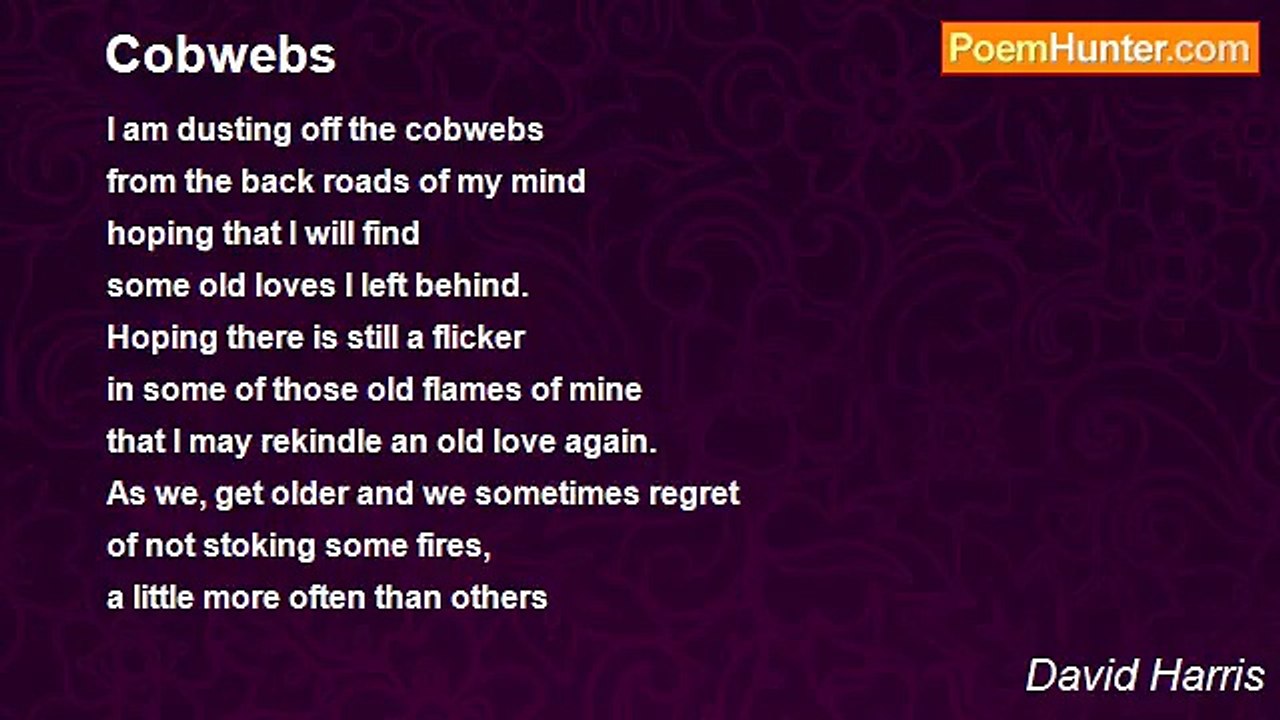 David Harris - Cobwebs