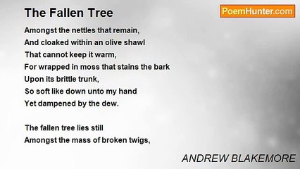 ANDREW BLAKEMORE - The Fallen Tree