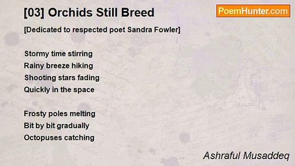 Ashraful Musaddeq - [03] Orchids Still Breed