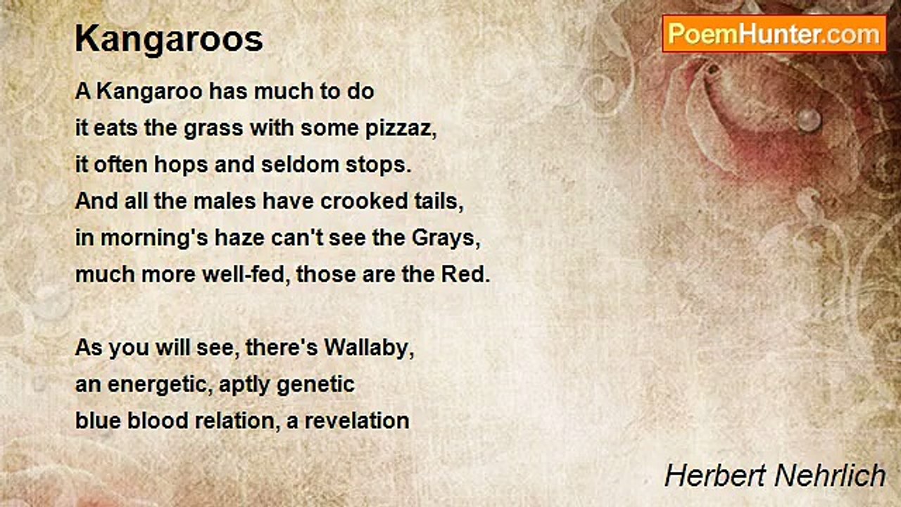 Herbert Nehrlich - Kangaroos