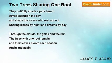 JAMES T. ADAIR - Two Trees Sharing One Root