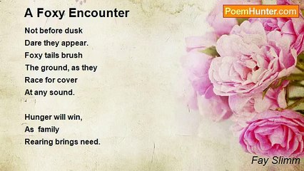 Fay Slimm - A Foxy Encounter