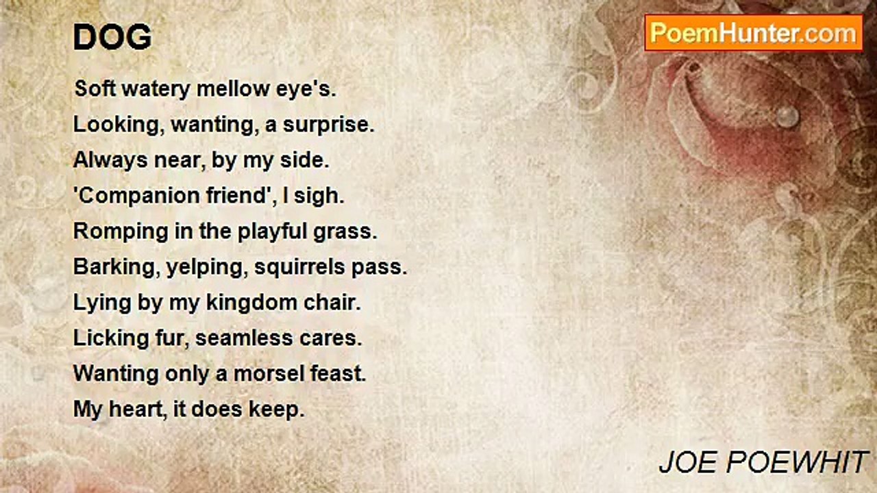 JOE POEWHIT - DOG