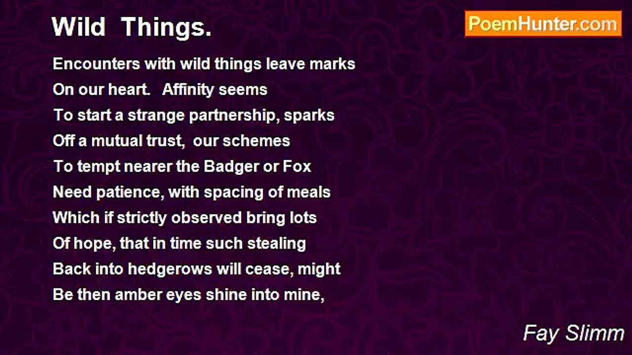 Fay Slimm - Wild  Things.
