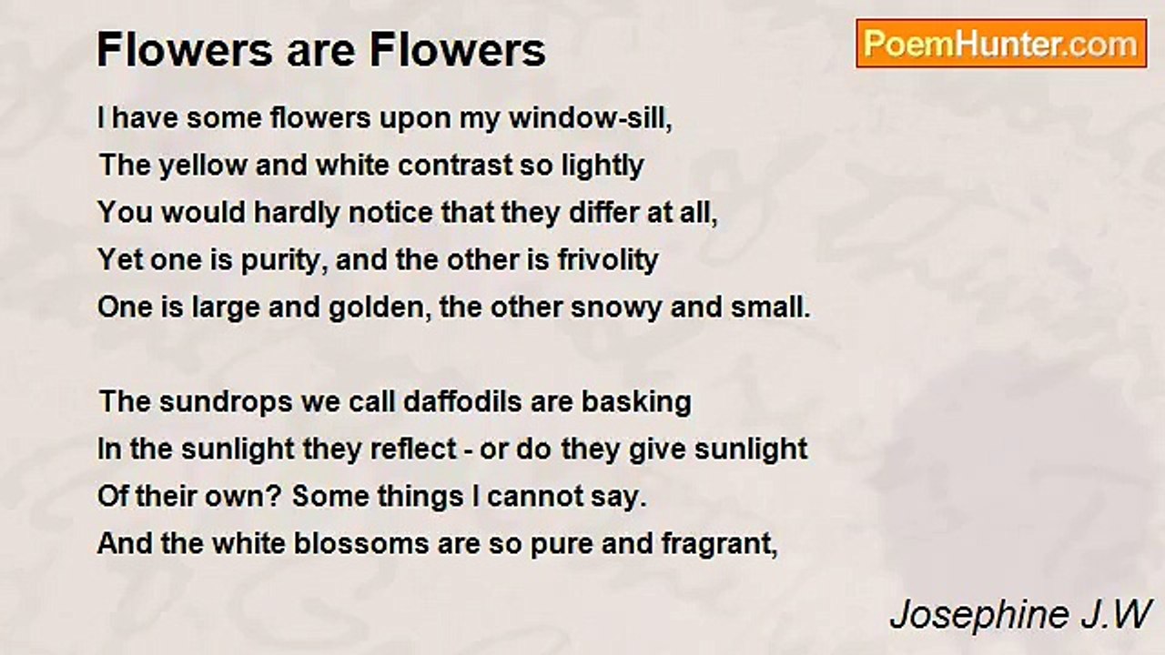 Josephine J.W - Flowers are Flowers
