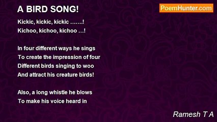 Ramesh T A - A BIRD SONG!