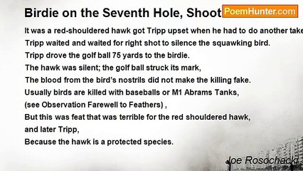 Joe Rosochacki - Birdie on the Seventh Hole, Shoot like a Pro