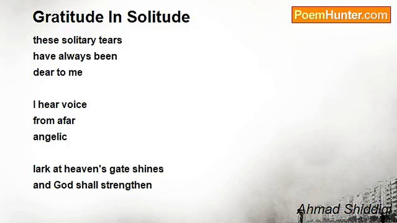 Ahmad Shiddiqi - Gratitude In Solitude