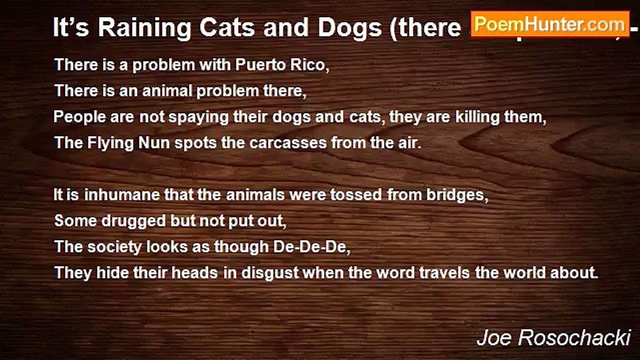 Joe Rosochacki - It’s Raining Cats and Dogs (there are poodles, - puddles everywhere)