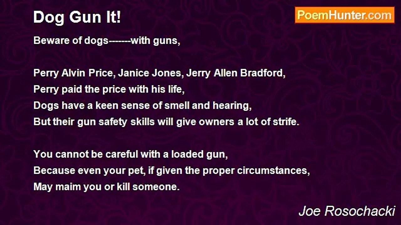 Joe Rosochacki - Dog Gun It!