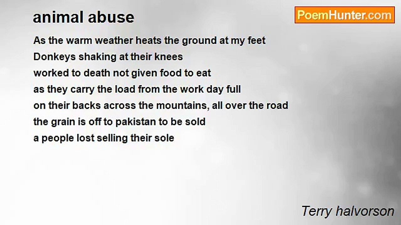 Terry halvorson - animal abuse