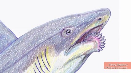 Six Creatures We're Glad Are Extinct