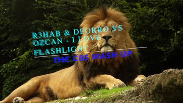 R3hab & Deorro VS Ozcan - I Love Flashlight (The CBs Mash Up)