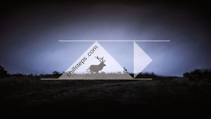 Snow Dayy - ssummurr