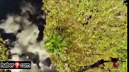 Kameralar karşısında anakondaya yem oldu