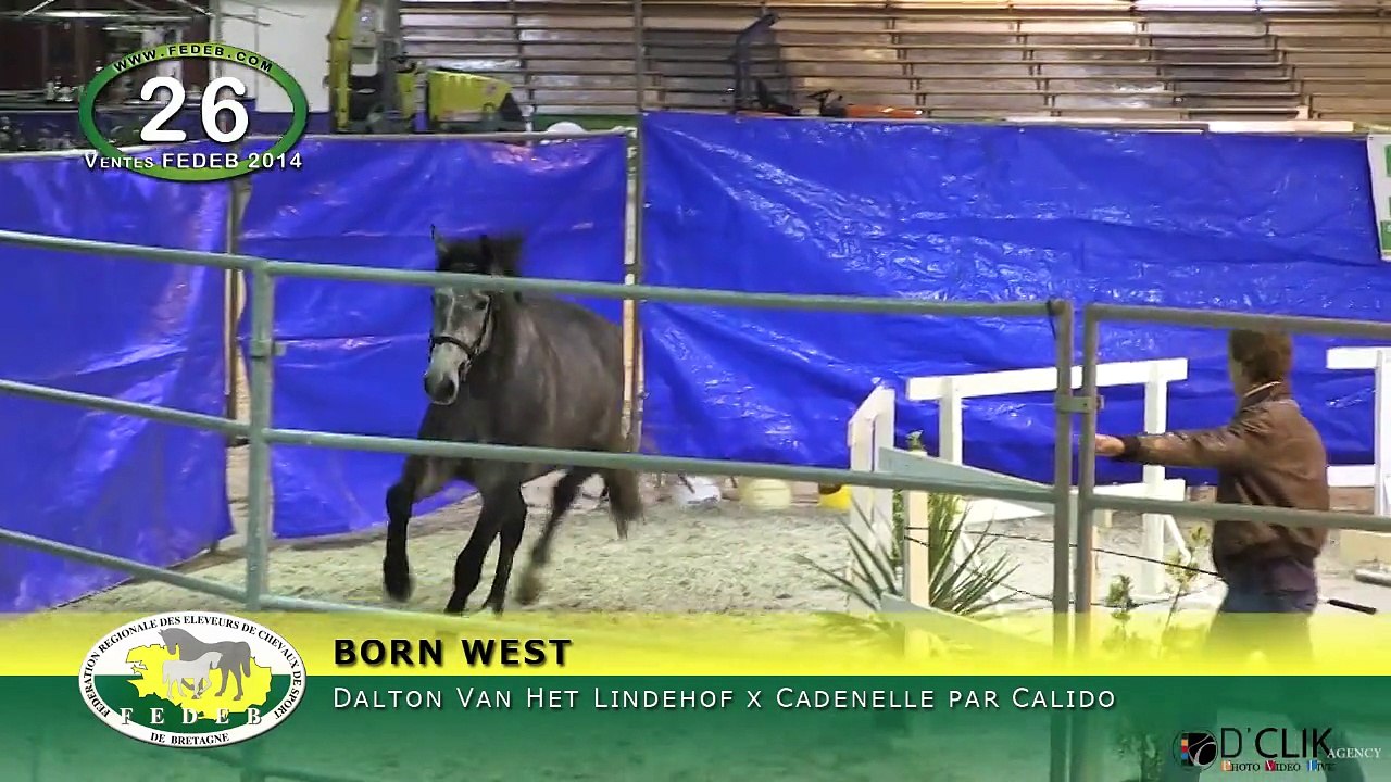 BORN WEST