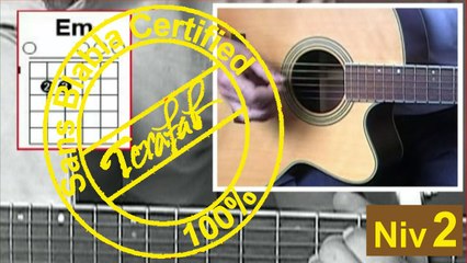 Je te promets - Johnny Hallyday [Tuto guitare] by Terafab