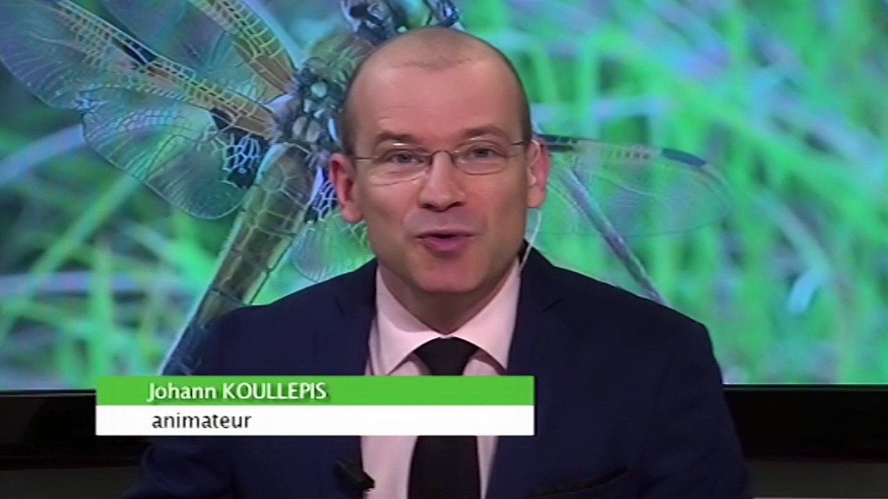 Découvrez Johann KOULLEPIS Animateur Présentateur