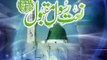 Aap Hain Iman-e-Jaan Ya Rasool Allah - Tahir Qadri new naat