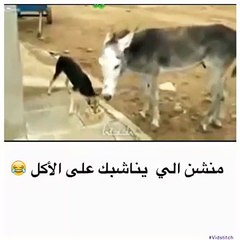 VID-20141010-WA0004.mp4