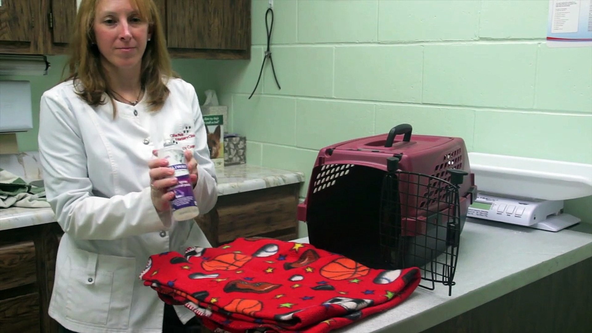 ⁣Welcome to Clifton Park Veterinary Clinic