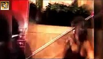 Salman Khan's sister Arpita Khan SLIPS & FALLS DOWN BY x1 VIDEOVINES