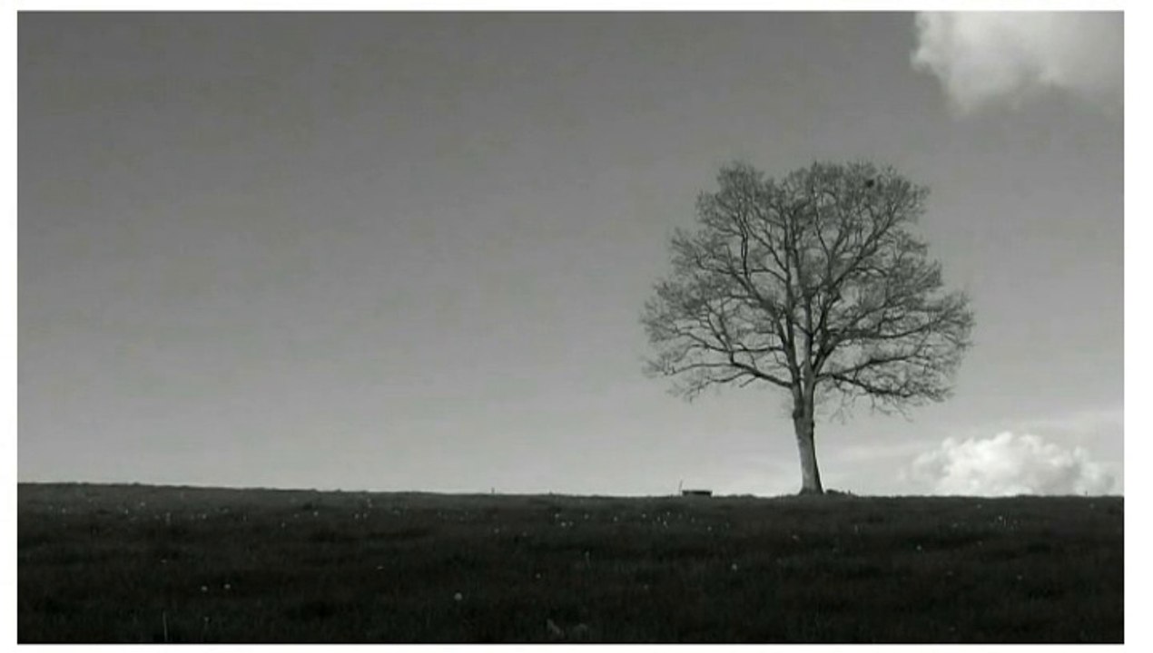 Philip Parfitt & Friends - New Timber Hill