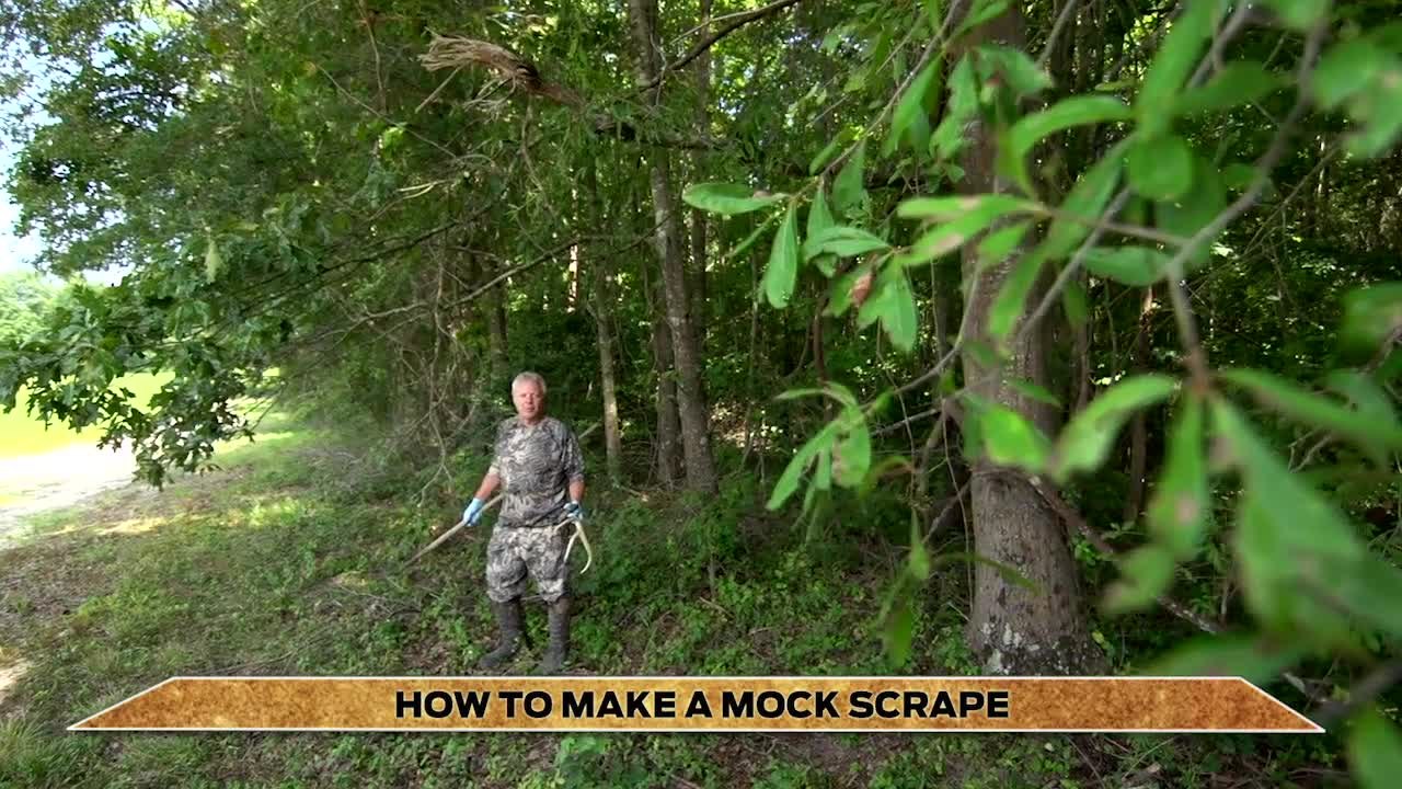 How to Make a Mock Scrape