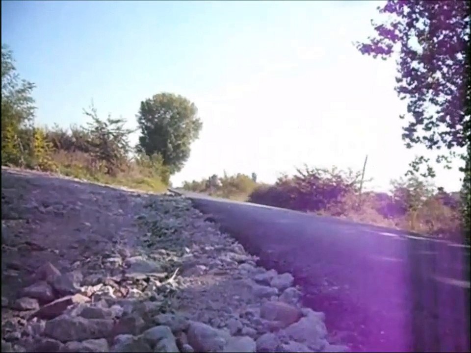 Aus der Perspektive eines Straßenhundes