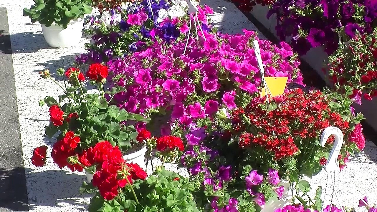 En Direct D!CI : Hautes-Alpes naturellement - Partie 2