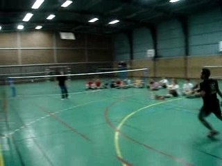 badminton, sport