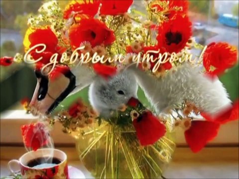 ДЛЯ ВАС ДРУЗЬЯ МОИ....