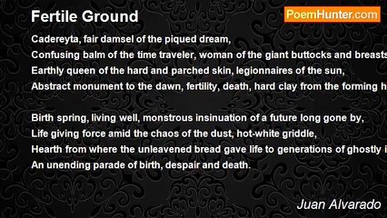Juan Alvarado - Fertile Ground
