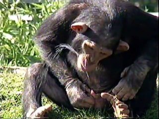 FUNNY VIDEOS ACCIDENTS compilation 3 of 3 Video Serie