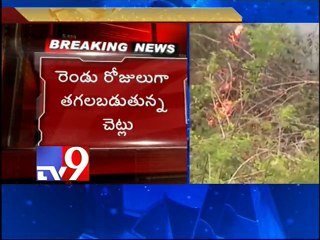 Forest fire in Gudilova hills in Visakha - Tv9