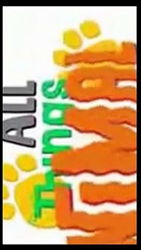 Birds video for kids _ Aerial Animals video for kid _ Kindergarten learning videos playlist HD