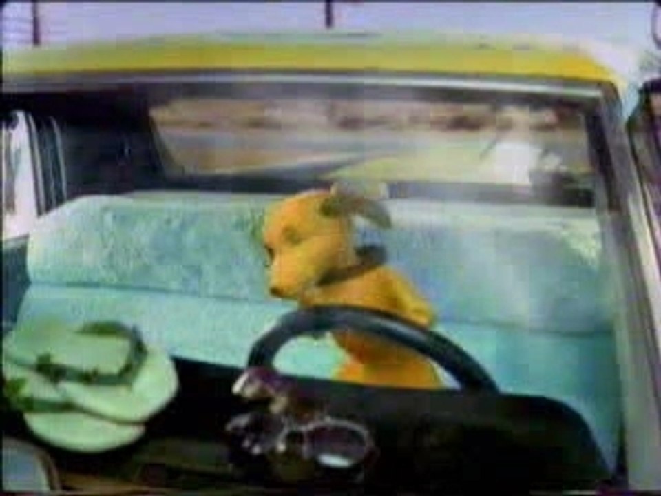 Ice Tea (cachorro maluco)