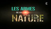 Les Armes De La Nature - Episode 1 - A Chacun Son Venin