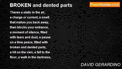 DAVID GERARDINO - BROKEN and dented parts