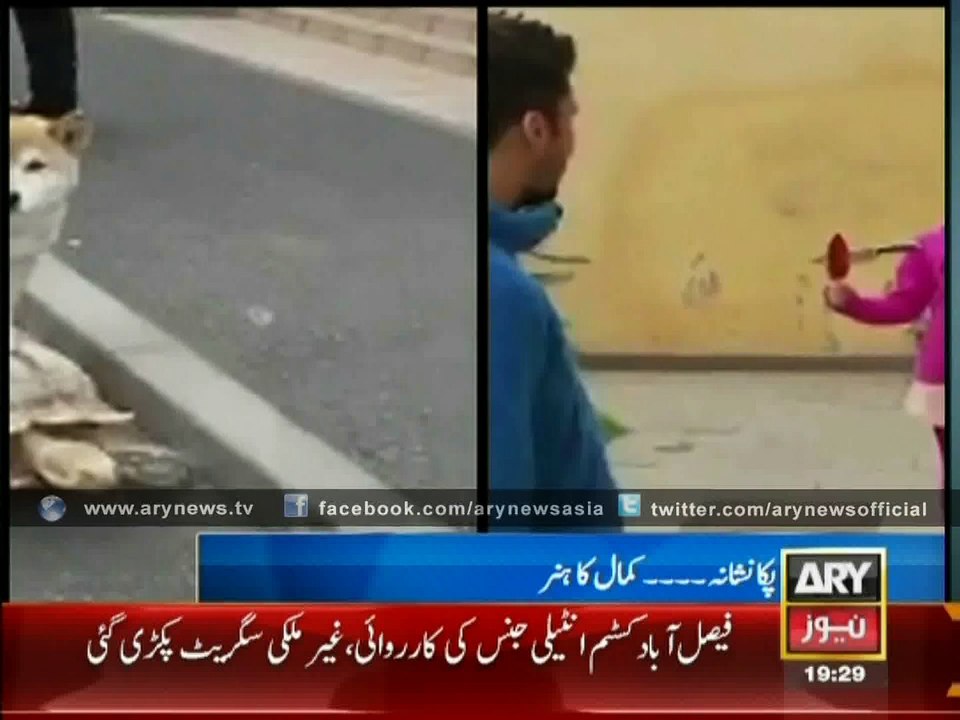 Turtle: If Animals Can Help Each Other Then Why Can't Humans?