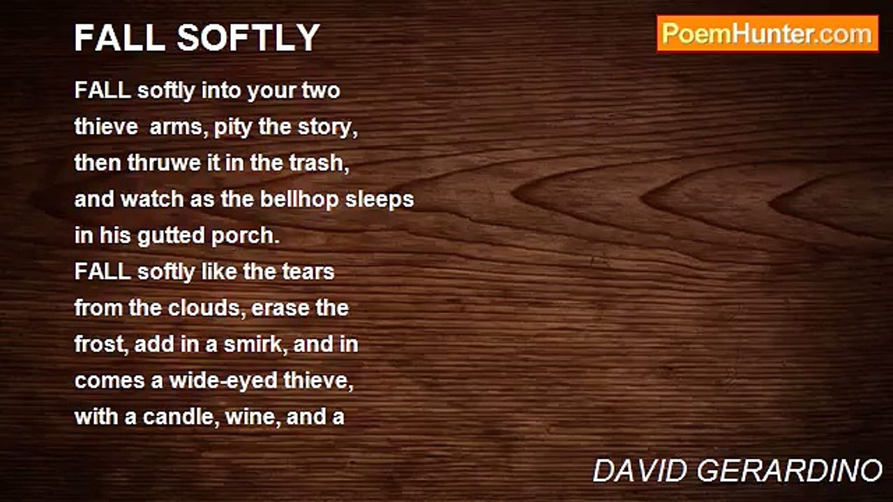 DAVID GERARDINO - FALL SOFTLY