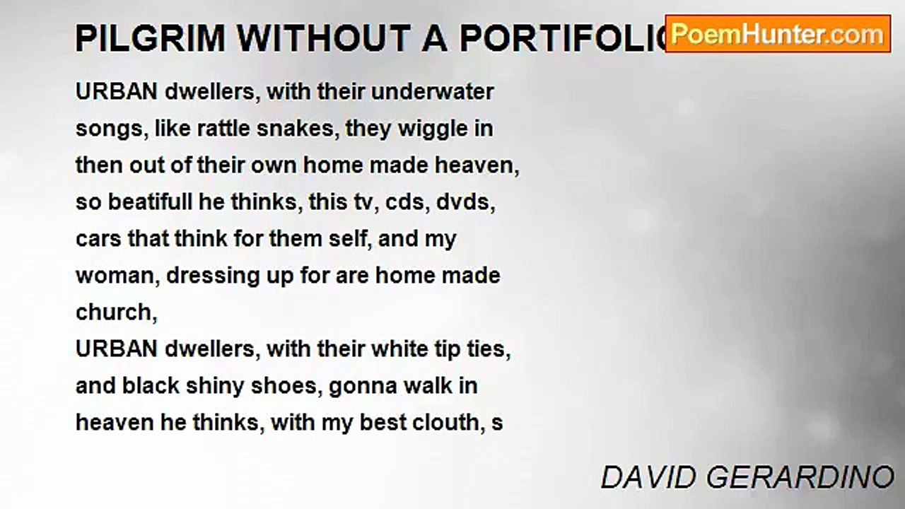DAVID GERARDINO - PILGRIM WITHOUT A PORTIFOLIO